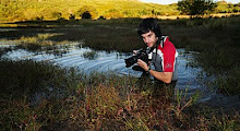 Joao Cosme  -  Fotógrafo de Natureza