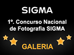 Galeria do 1º Concurso de Fotografia Sigma