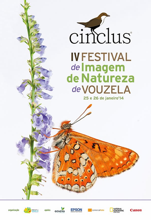 Cinclus- Festival de imagens da Natureza