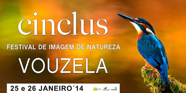 fotografia de João Cosme - Fotógrafo de Natureza fotografia de João Cosme - Fotógrafo de Natureza