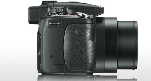 Leica V-Lux 3: 540g