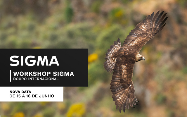 Workshop SIGMA - Parque Natural Douro Internacional