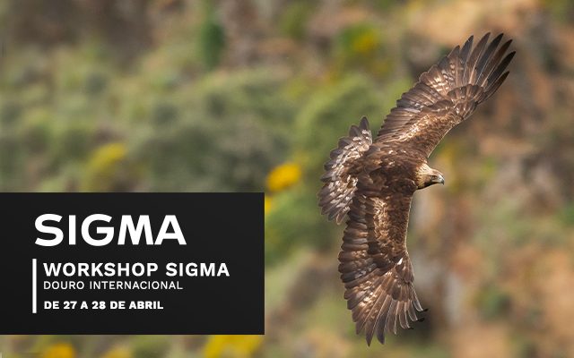 Workshop SIGMA - Parque Natural Douro Internacional