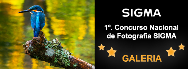 Galeria do 1º Concurso de Fotografia Sigma